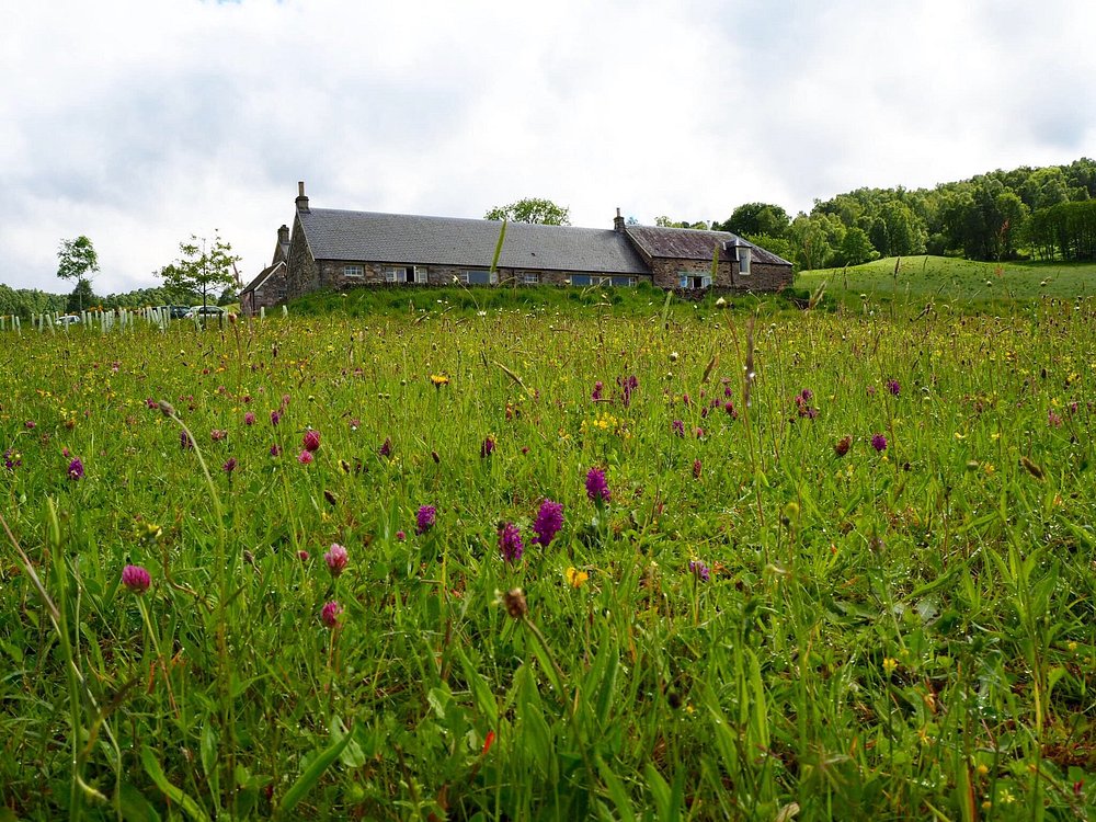 Ballintaggart Farm
